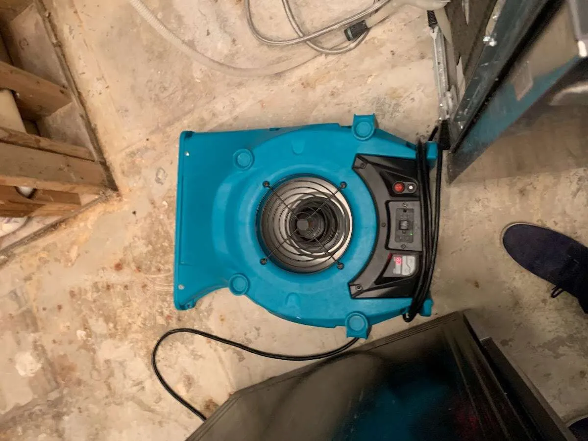 Air mover drying equipment for Mold Remediation & Removal in Stockbridge